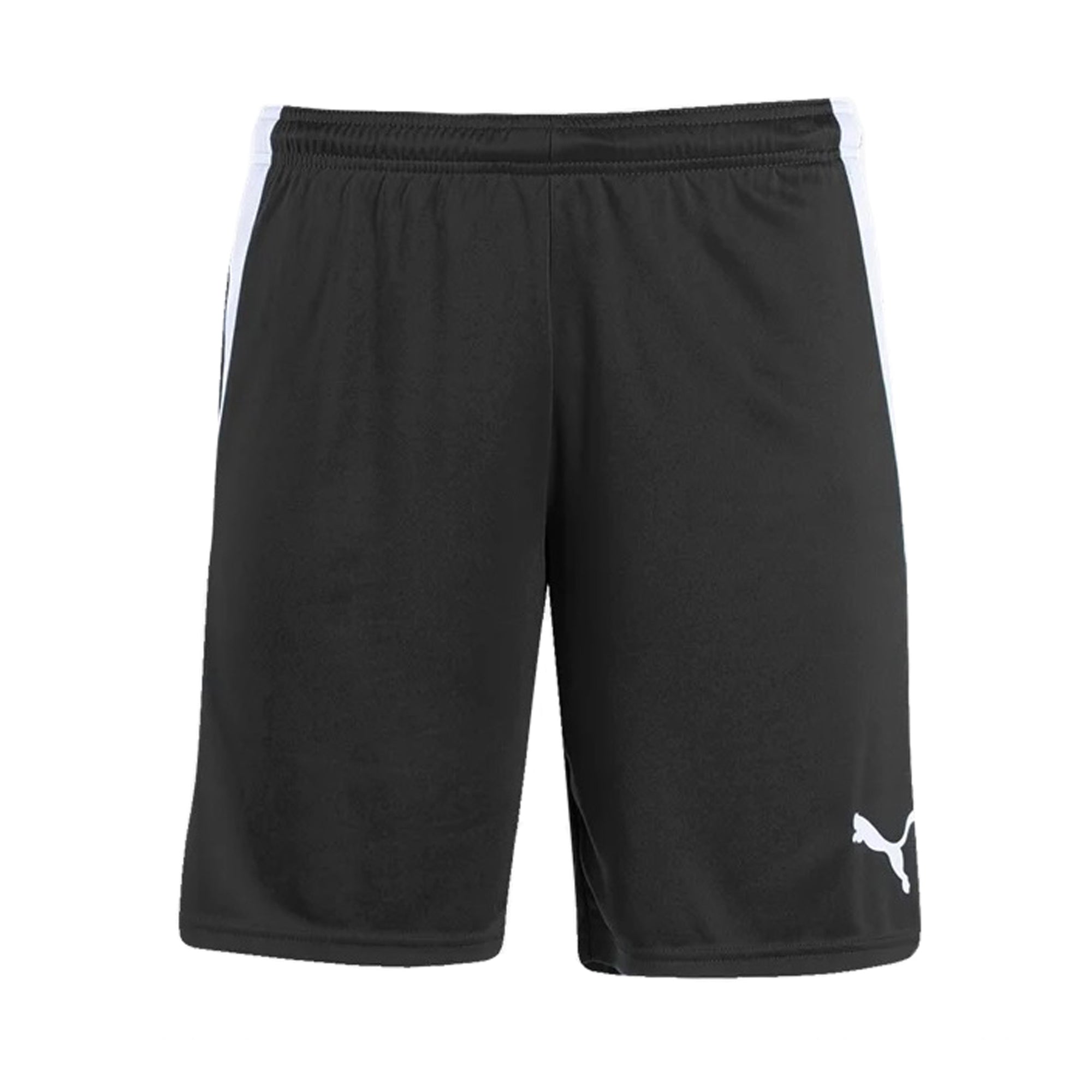 Puma liga shorts youth best sale