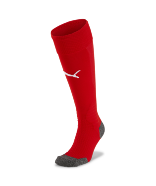 PUMA TEAM LIGA SOCK