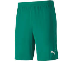 PUMA TEAM FINAL 21 KNIT SHORTS