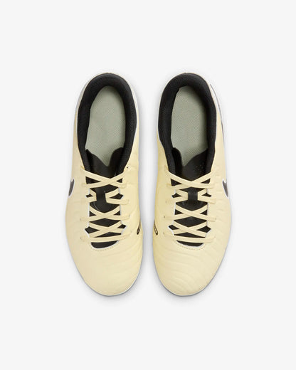 NIKE JR LEGEND 10 ACADEMY FG/MG