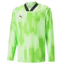 PUMA TEAMTARGET GK LS JERSEY JR