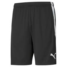 PUMA TEAM LIGA TRAINING SHORTS