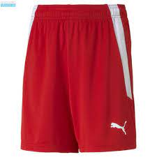 PUMA TEAM LIGA SHORTS JR