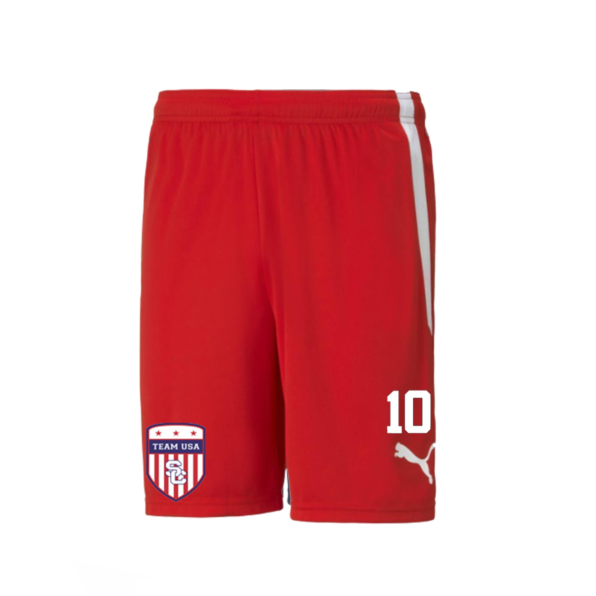 TEAM USA ADULT SHORTS - PUMA TEAM LIGA 25